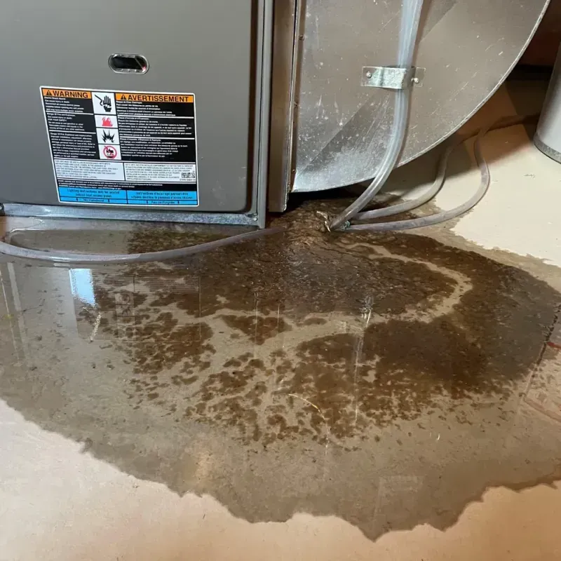 Appliance Leak Cleanup in Ballplay, AL